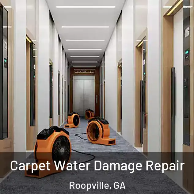  Carpet Water Damage Repair Roopville, GA