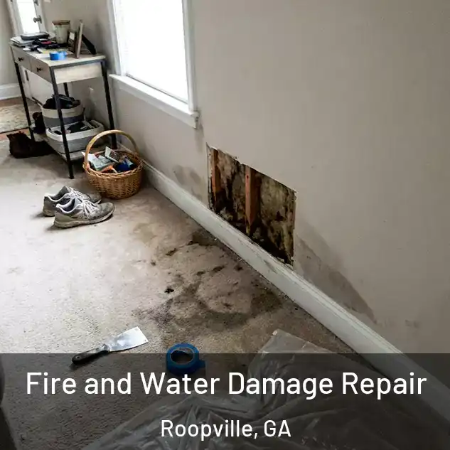  Fire and Water Damage Repair Roopville, GA
