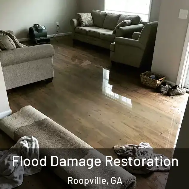  Flood Damage Restoration Roopville, GA