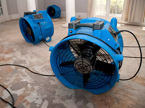Water Damage Reconstruction in Roopville
