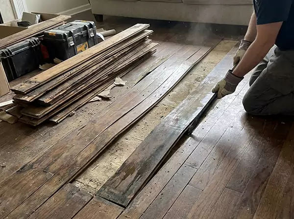 Water Damage Drying in Roopville