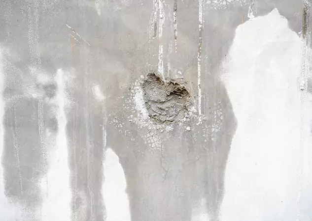 Your Mold Mitigation Solutions Partner in Roopville, GA