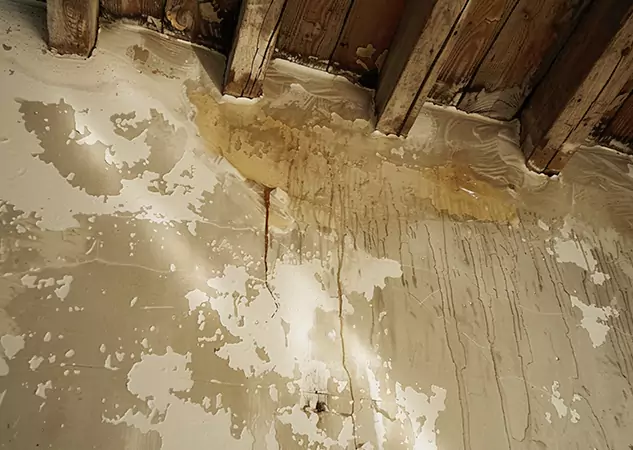 Your Trusted Restoration Company in Roopville, GA