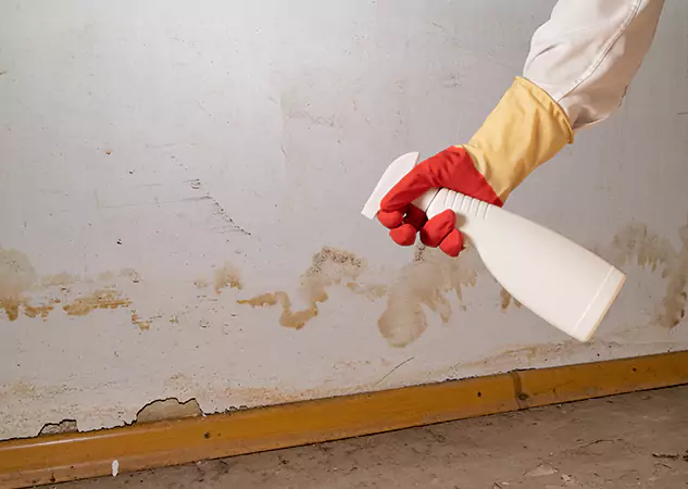 Your Water Restoration and Mold Remediation Specialists in Roopville, GA
