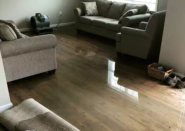 Your Trusted Restoration Company in Roopville, GA