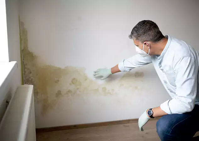 Reach Our Remediation Team Before Damage Grows in Roopville, GA!
