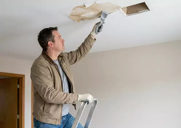 Your Ceiling Damage Repair Experts in Roopville, GA
