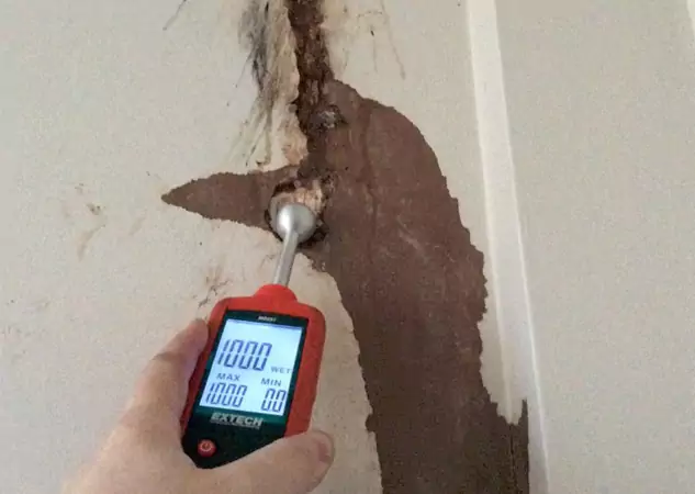 Your Water Damage Assessment Partner in Roopville, GA