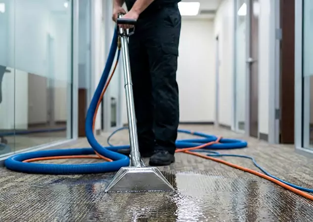Your Water Damaged Carpet Restoration Partner in Roopville, GA