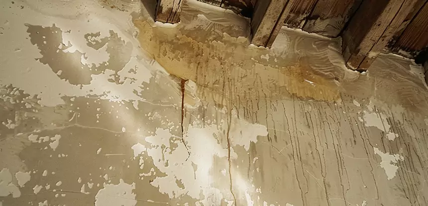 Professional Attic Water Damage Repair Services in Roopville, GA