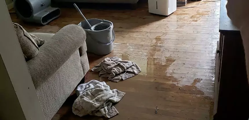 Professional Basement Water Remediation Services in Roopville, GA