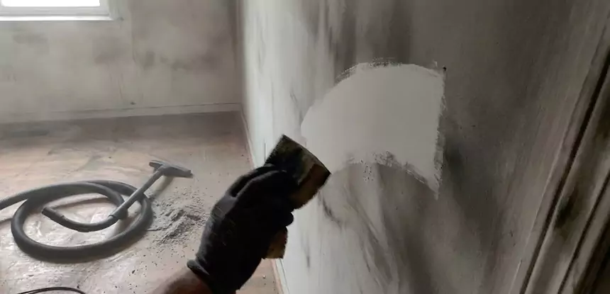 Professional Water and Fire Damage Restoration Services in Roopville, GA