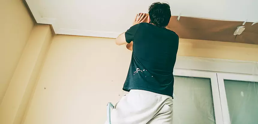Ceiling Water Damage Repair in Roopville