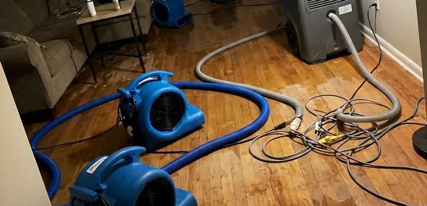 Basement Flood Restoration Services in Roopville