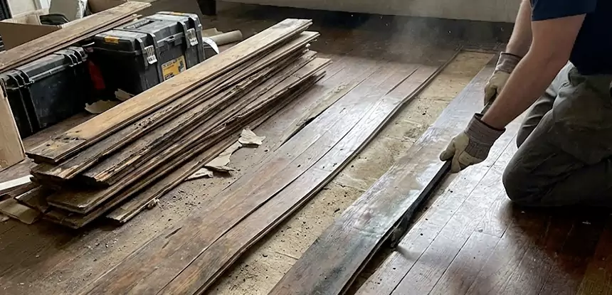 Wood Rot and Fungus Repair in Roopville