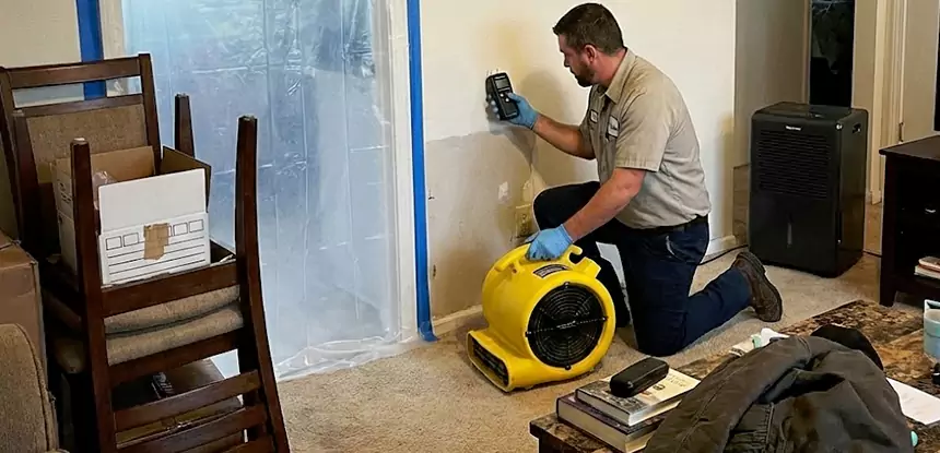 Carpet Water Damage Repair Roopville