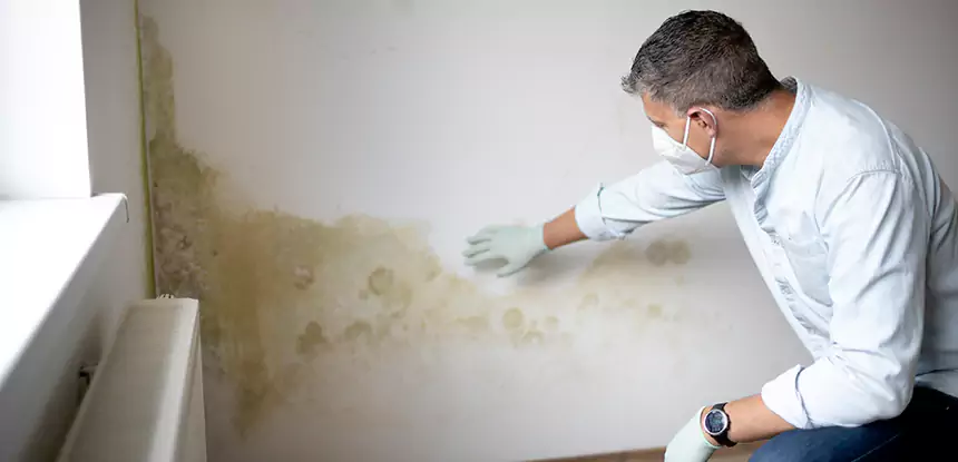 Mold and Water Damage Repair in Roopville