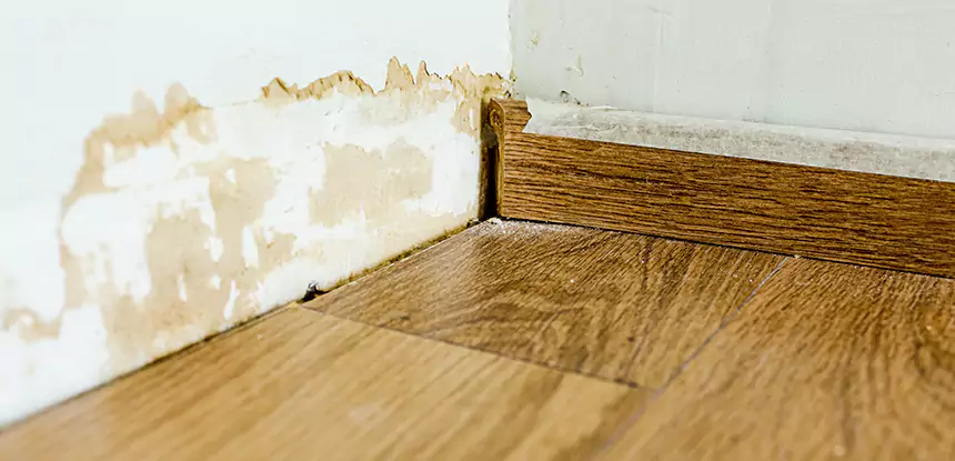 Professional Fix Water Damaged Wood Services in Roopville, GA