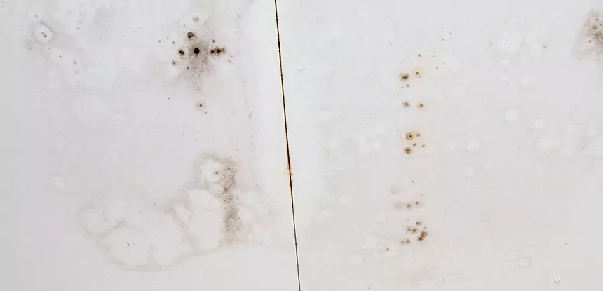 Professional Water Stain Repair Services in Roopville, GA