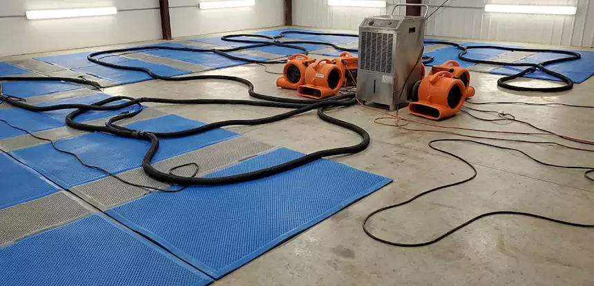 Professional Flooded Carpet Drying Services in Roopville, GA