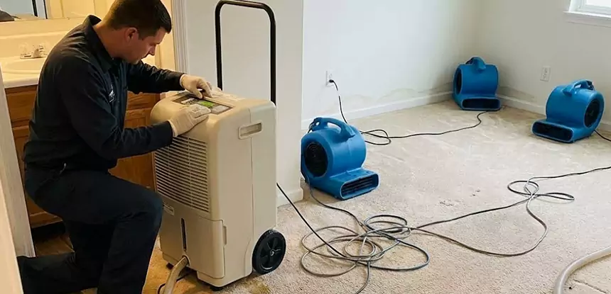 Professional Wet Carpet Removal Services in Roopville, GA