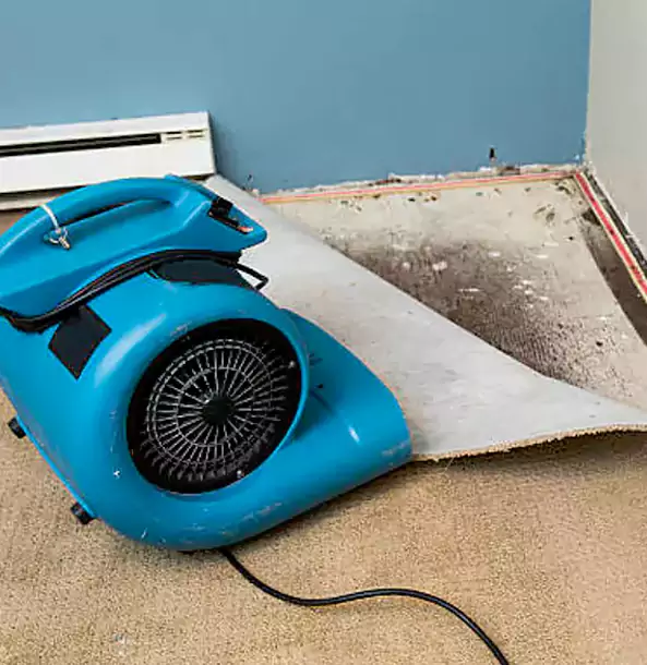 Why Roopville Trusts Roopville Restoration Pro for Carpet Flood Recovery?