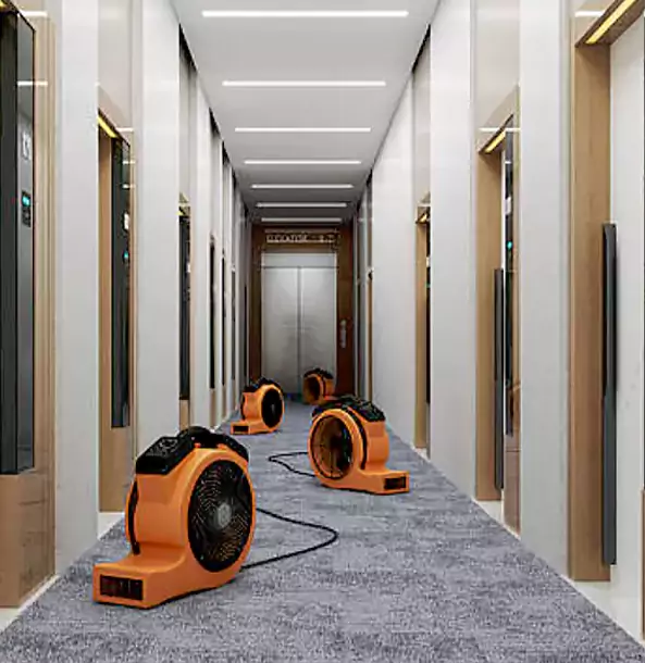 Why Roopville Trusts Roopville Restoration Pro?