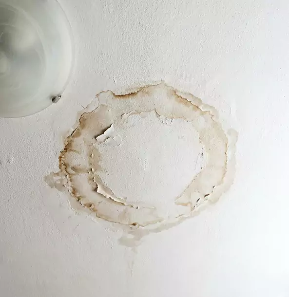 Why Roopville Property Owners Choose Roopville Restoration Pro for Ceiling Water Damage Restoration?