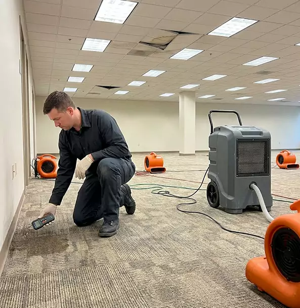 Why Roopville Businesses Choose Roopville Restoration Pro for Water Cleanup?