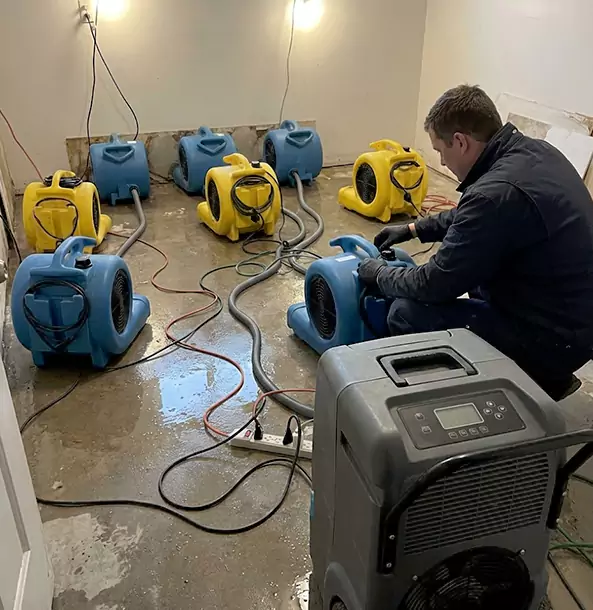 Why Roopville Businesses Trust Roopville Restoration Pro for Water Damage Response?