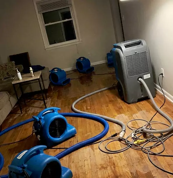 Why Roopville Calls Roopville Restoration Pro First for Emergency Restoration?