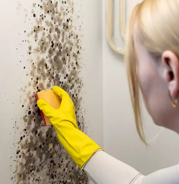 Why Roopville Restoration Pro Leads Mold Remediation in Roopville?