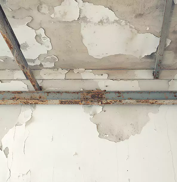 Why Roopville Restoration Pro Is the Right Choice in Roopville, GA?