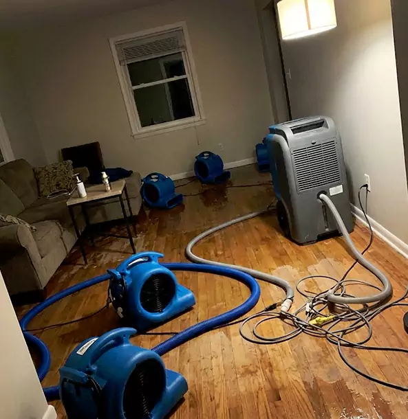 Why Roopville Property Owners Rely on Roopville Restoration Pro for Remediation?