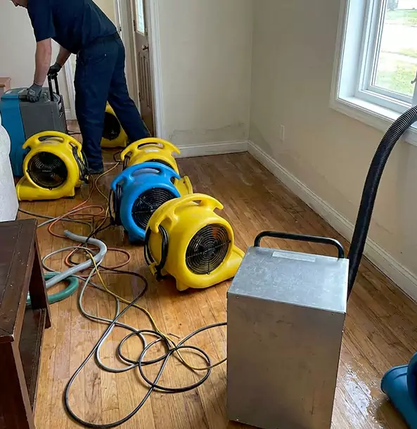Why Roopville Property Owners Choose Roopville Restoration Pro for Remediation?