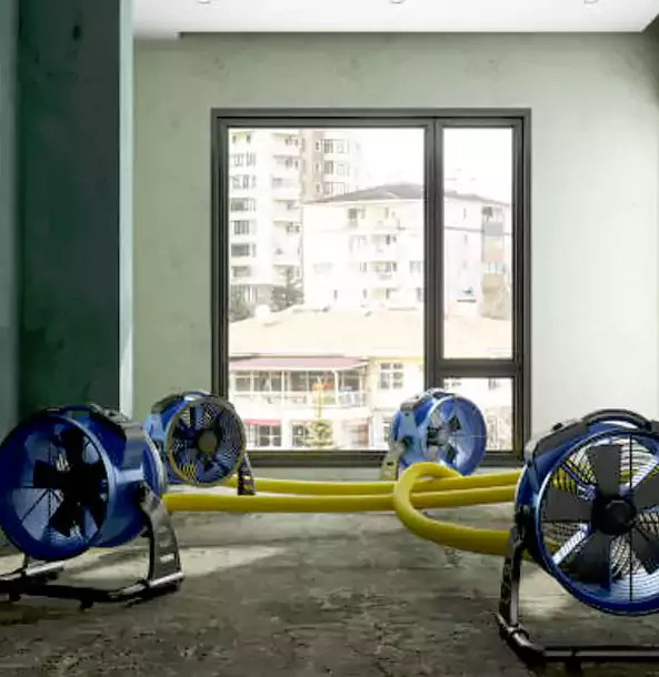 Why Roopville Property Owners Trust Roopville Restoration Pro for Water Damage Drying?