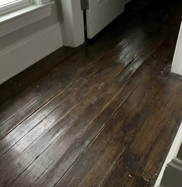 Why Roopville Homeowners Trust Roopville Restoration Pro to Fix Water Damaged Wood?