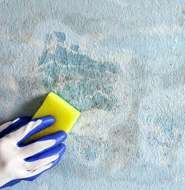 Why Roopville Restoration Pro Is the Right Choice in Roopville, GA?