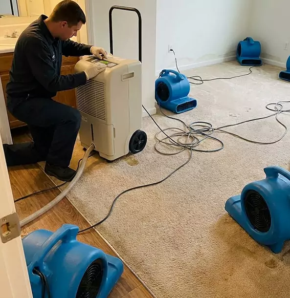 Why Roopville Homeowners and Businesses Trust Roopville Restoration Pro for Carpet Drying?