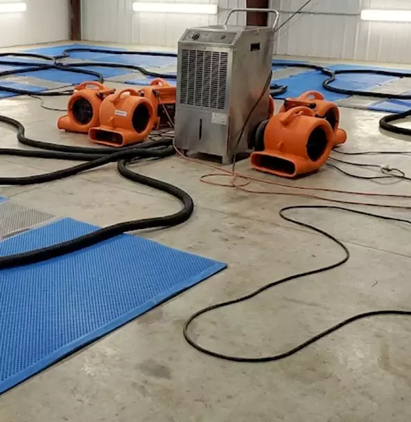 Why Roopville Homeowners and Businesses Choose Roopville Restoration Pro for Wet Carpet Removal?