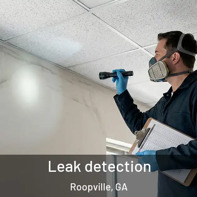  Leak detection Roopville, GA