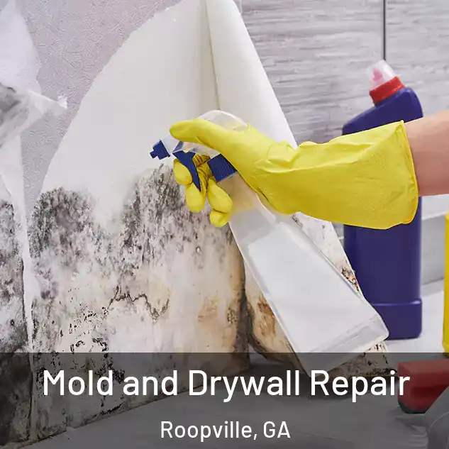  Mold and Drywall Repair Roopville, GA