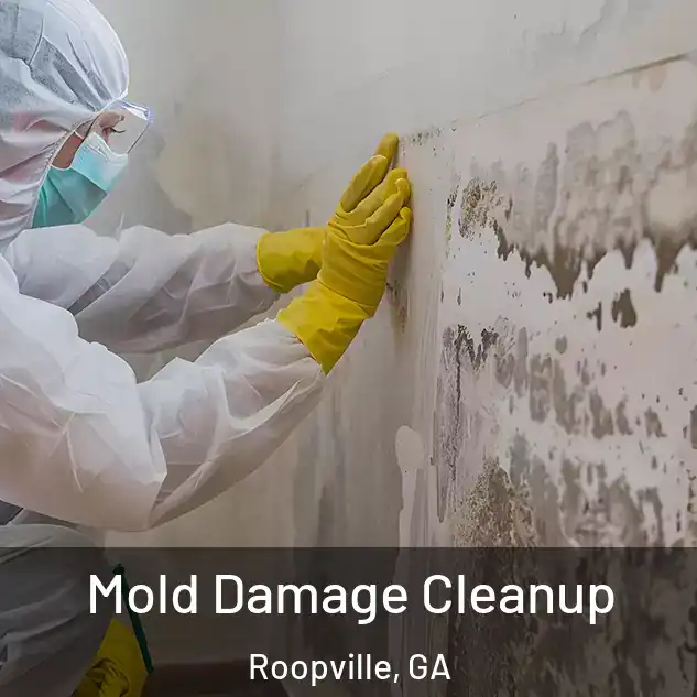  Mold Damage Cleanup Roopville, GA