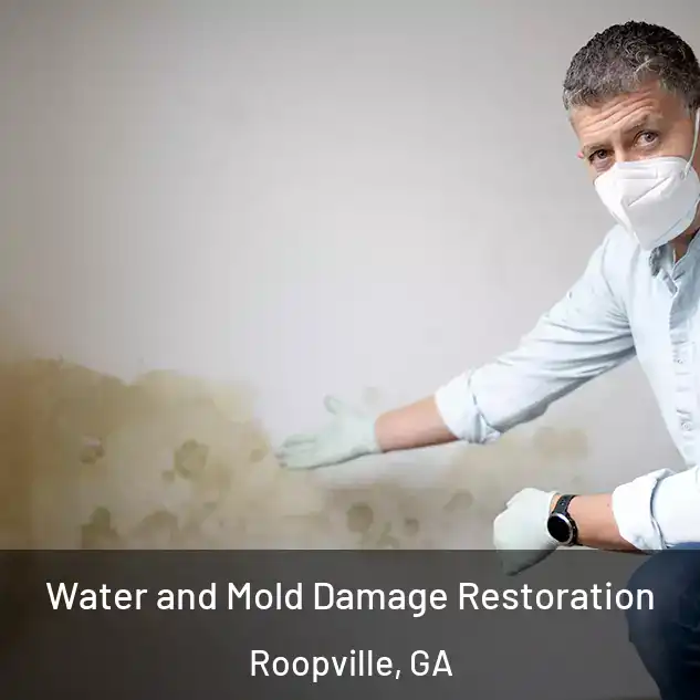  Water and Mold Damage Restoration Roopville, GA