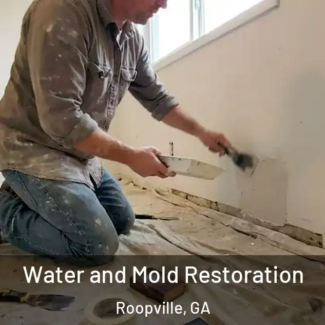  Water and Mold Restoration Roopville, GA