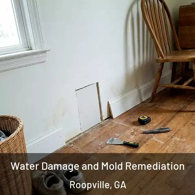  Water Damage and Mold Remediation Roopville, GA