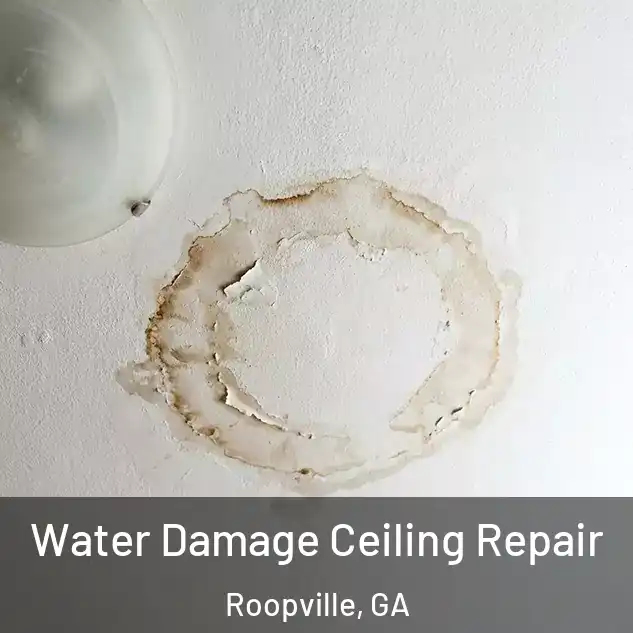  Water Damage Ceiling Repair Roopville, GA