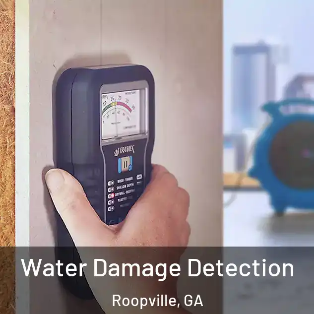  Water Damage Detection Roopville, GA