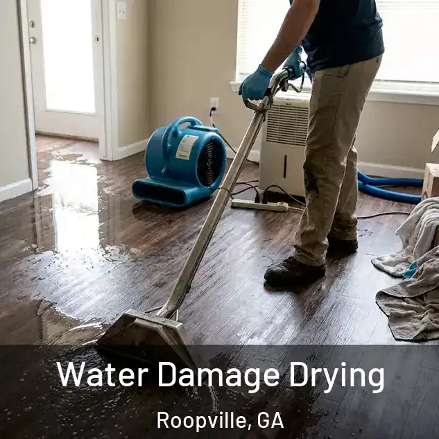  Water Damage Drying Roopville, GA