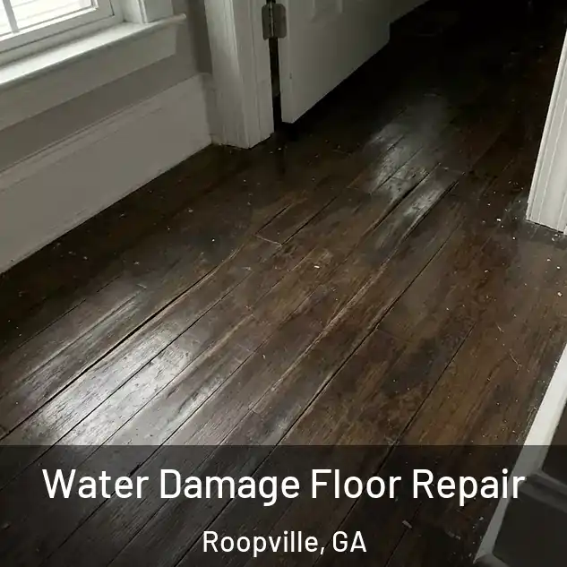  Water Damage Floor Repair Roopville, GA